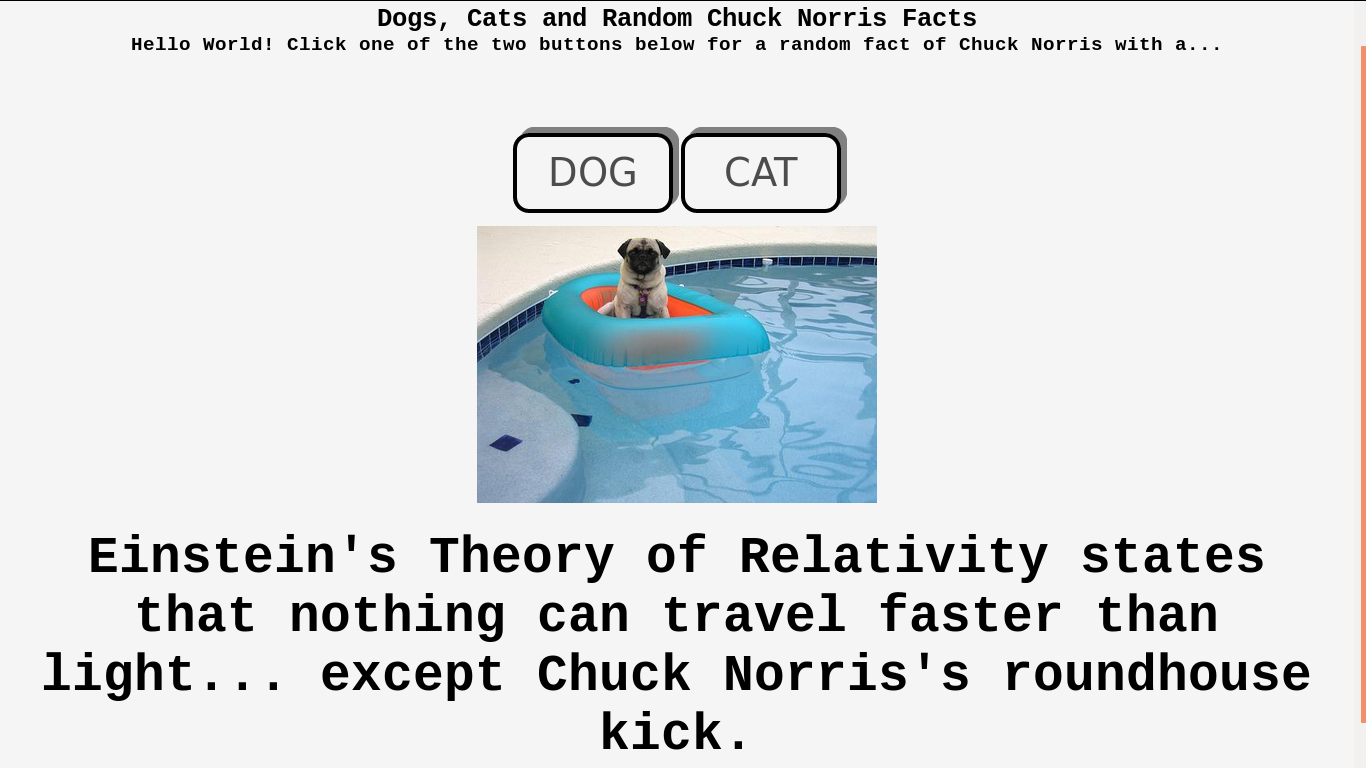 Dogs, Cats And Chuck Norris Facts
